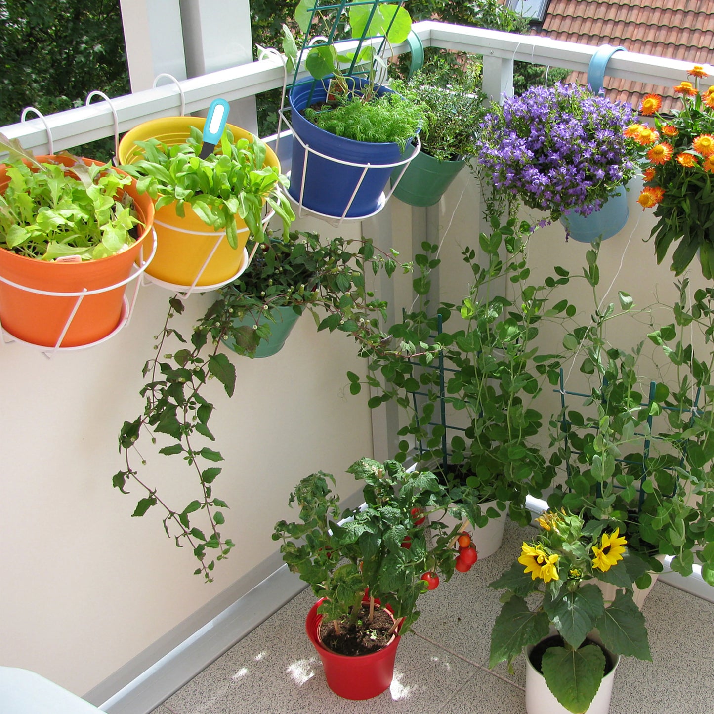 Smart Soil Tester Temperature and Humidity Meter  Garden Automation