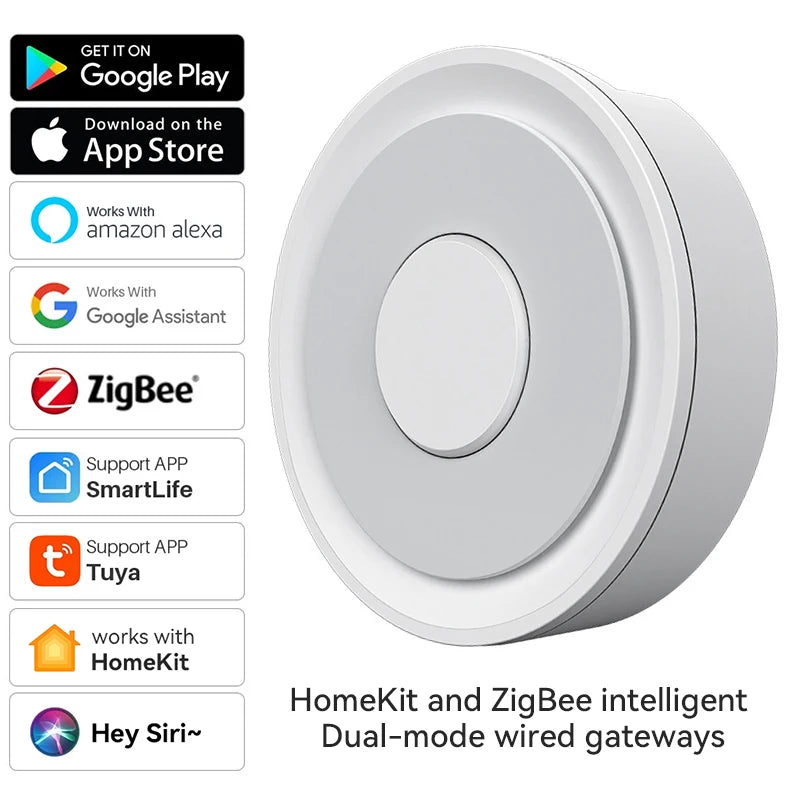 Zigbee Hub and HomeKit Hub Support Google and Alexa