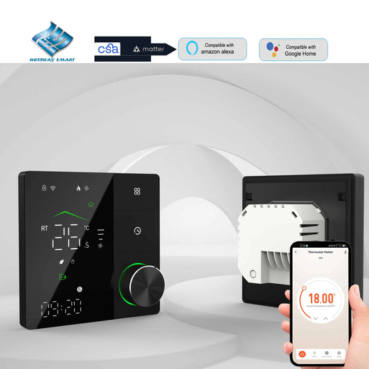 Matter  Thermostat With Relay Switch