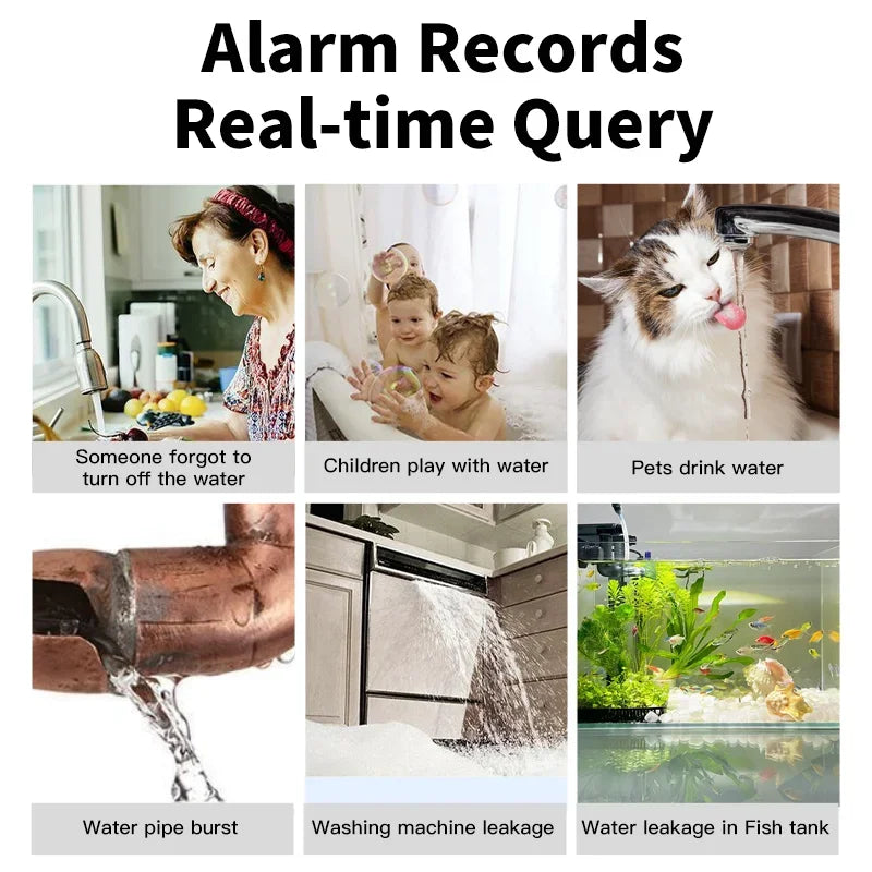 Smart Water Leakage Sensor Alarm Level/Flood Detector