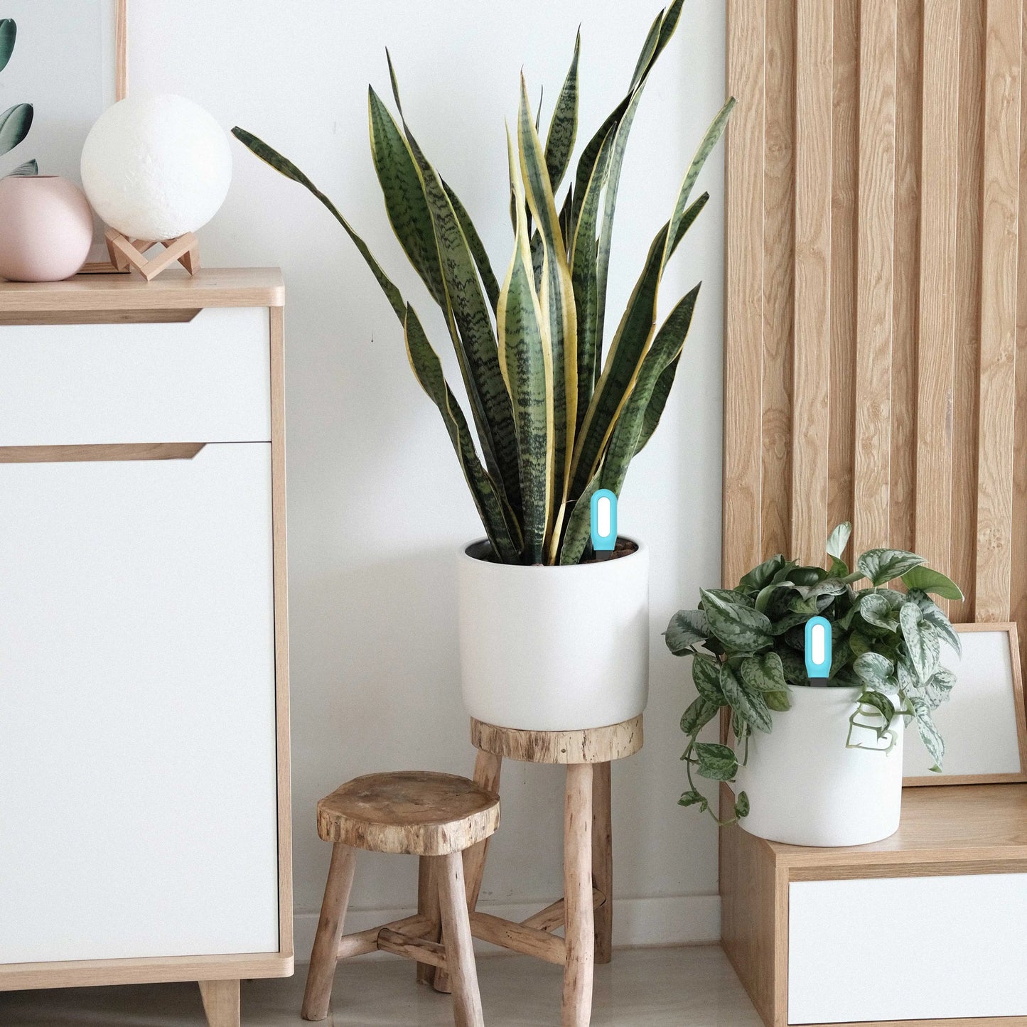 Smart Soil Tester Temperature and Humidity Meter  Garden Automation