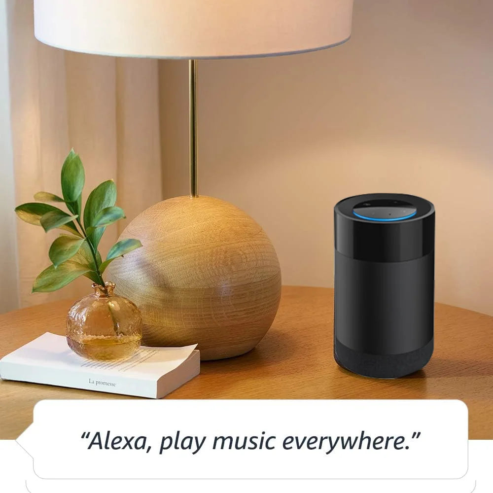 Smart Speaker With Alexa Voice Control