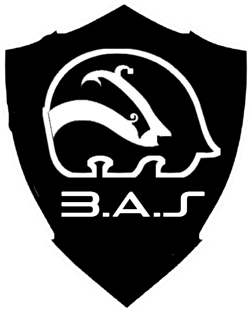 Badger's Automation System