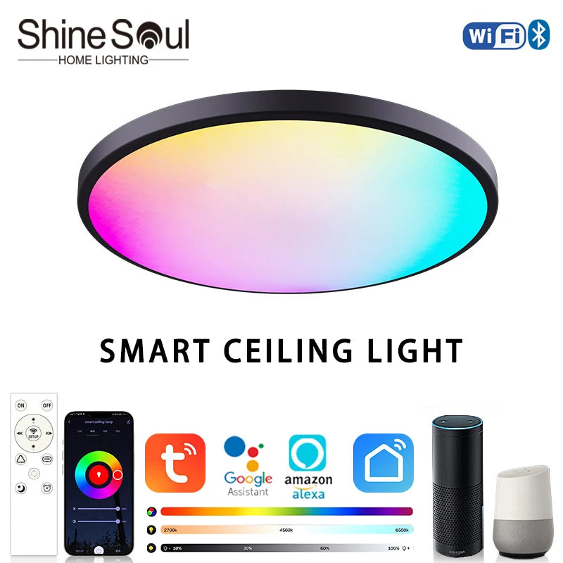 Smart Ceiling Light 30-38 cm