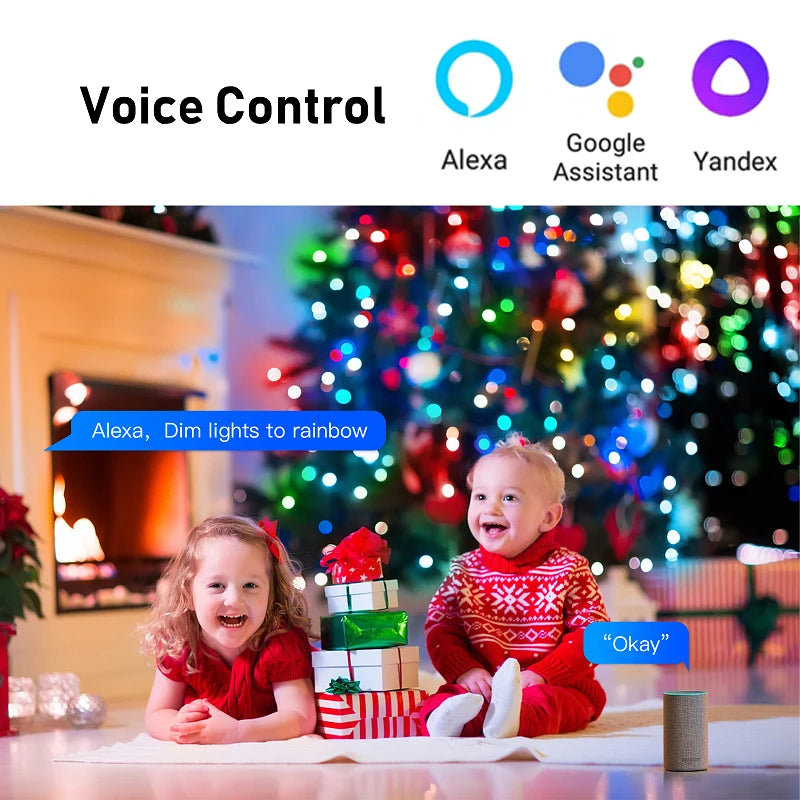 Bande LED RGBIC intelligente étanche Synchronisation musicale 10 15 20 30 40 M Noël