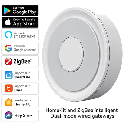 Zigbee Hub and HomeKit Hub Support Google and Alexa