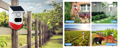 Alarme de sécurité solaire extérieure IP65 Détecteur infrarouge dissuasif contre les ours