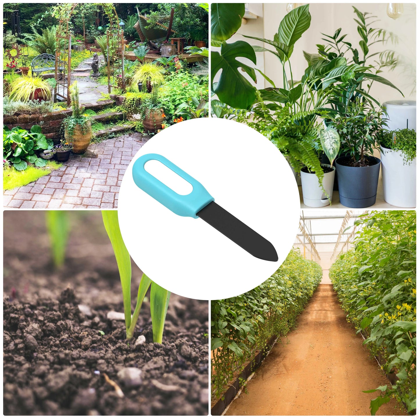 Testeur de sol intelligent, compteur de température et d'humidité, automatisation du jardin