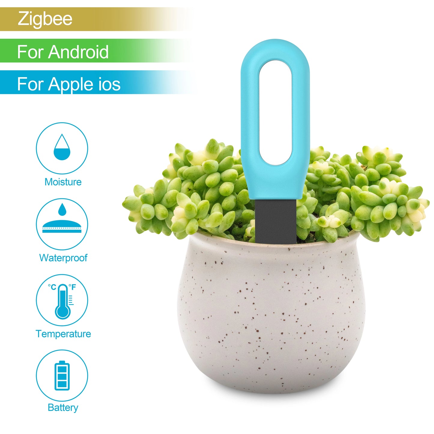 Testeur de sol intelligent, compteur de température et d'humidité, automatisation du jardin
