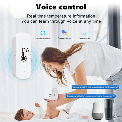 Smart Temperature And Humidity Sensor